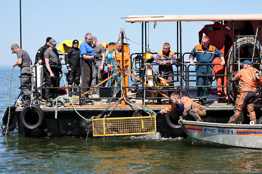 20 тысяч мин под водой: как проходит «разоружение» немецкой баржи под Балтийском (фото)