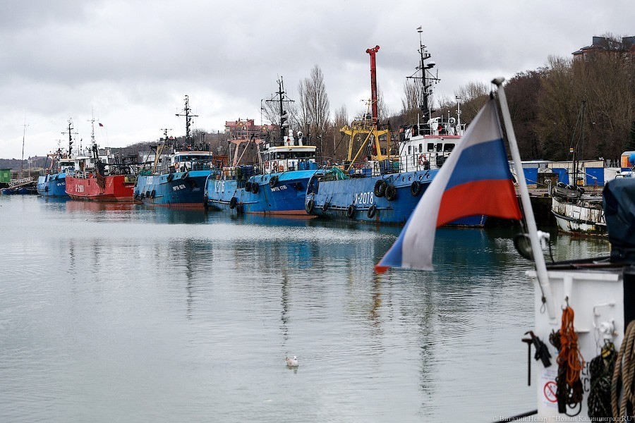 Депутаты облдумы предлагают снизить административное давление на рыбоколхозы