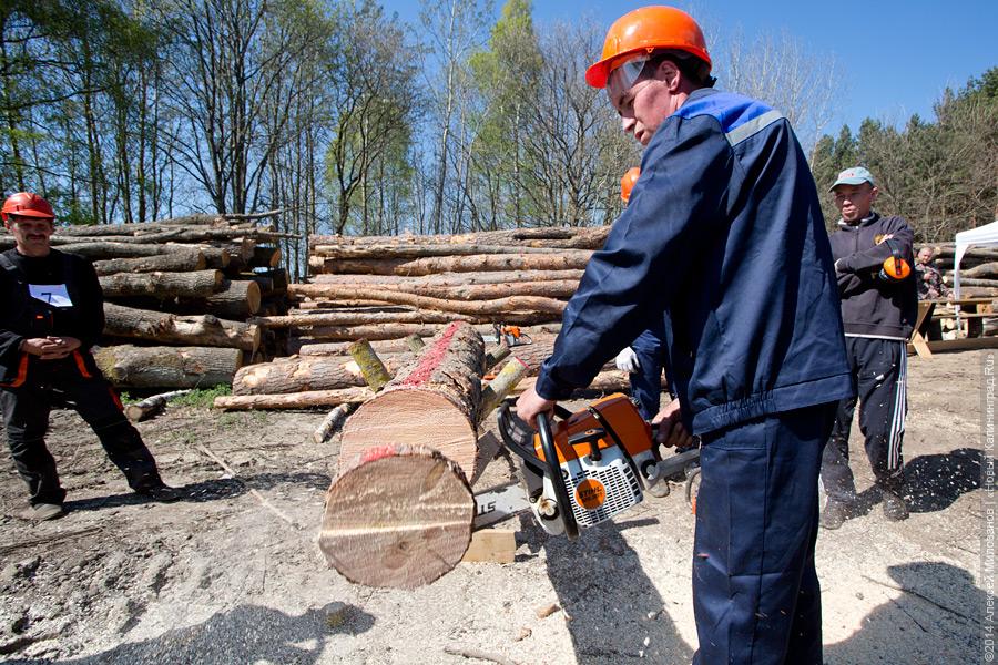 Лесной распил: как проходят соревнования лесорубов (фото)