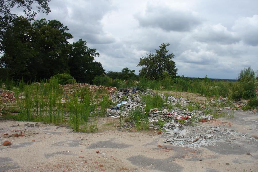 Слом истории: еще одна немецкая усадьба погибла, не дождавшись инвестора