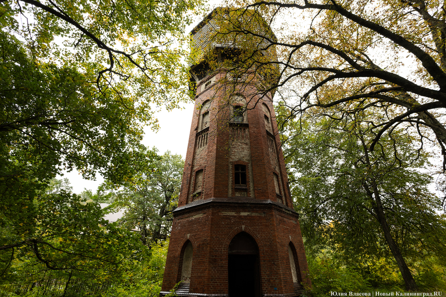 Государство в государстве: как ищут инвестора для бывшей лечебницы Алленберг (фото)