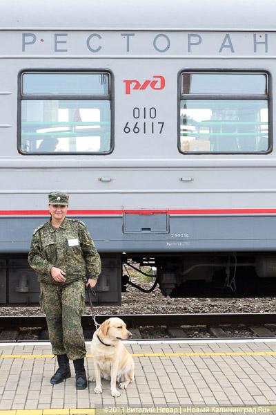Таможня дает добро: как работают пункты пропуска в Калининградской области