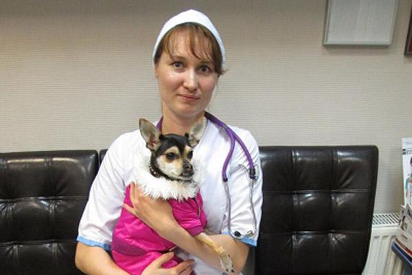 Как котенка и щенка уберечь нам от клеща