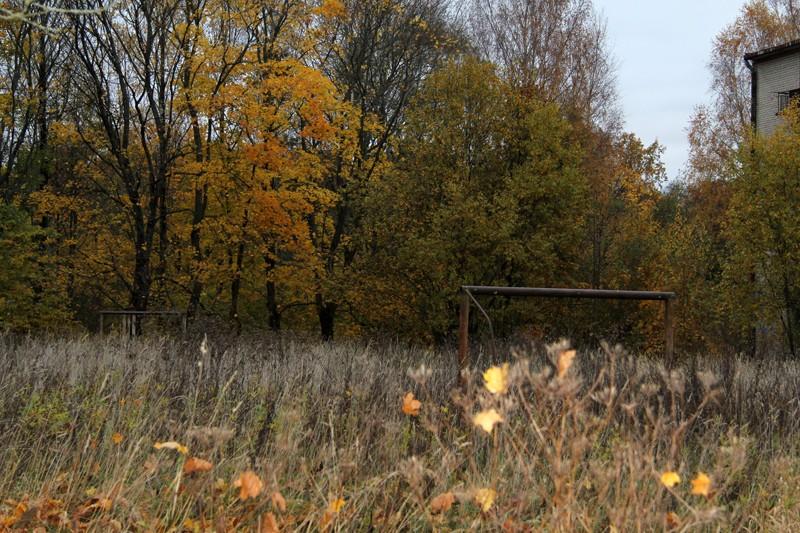 «Экскурсия для гидов»: репортаж с инфотура по северо-востоку области