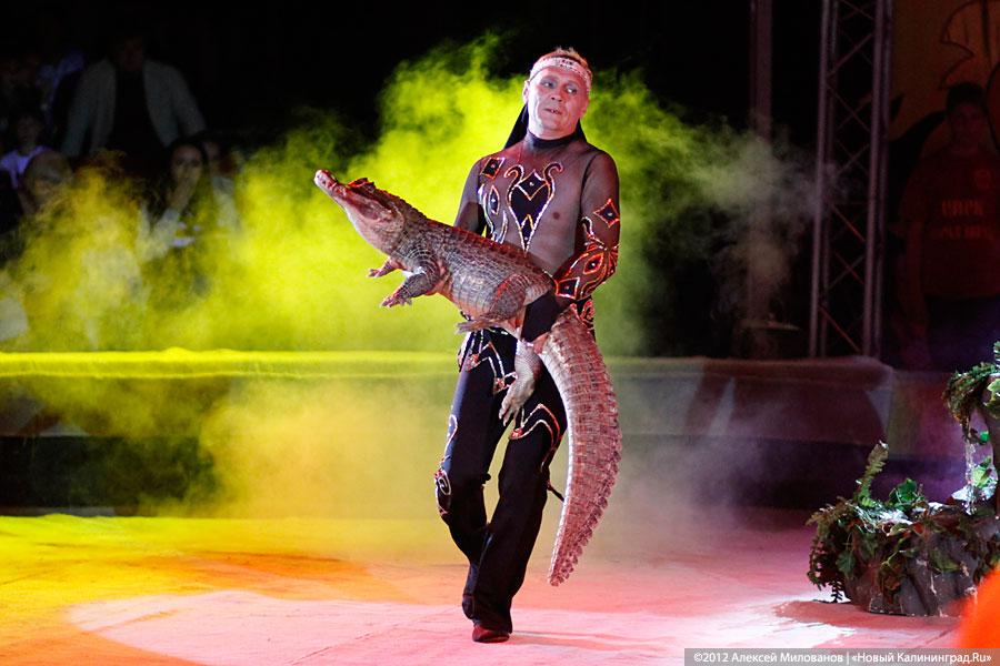 «Цирк в подарок»: фоторепортаж c премьеры цирковой программы