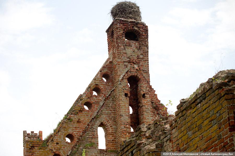 «А денег нет»: в переданной РПЦ кирхе 14-го века в Храброво валяются человеческие кости