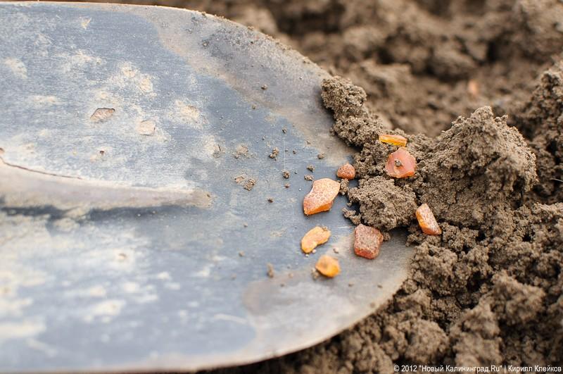 «Янтарная пирамида и незолотые прииски»: фоторепортаж «Нового Калининграда.Ru»