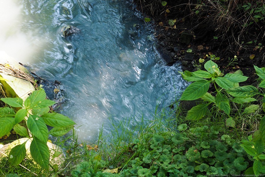 Минэкологии: жилые дома безнаказанно сливают фекальные стоки в ливневки города