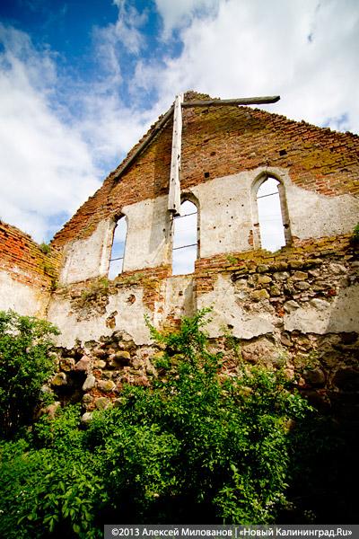 Навоз и куры: кирха 14-го века в поселке Каштаново стала пастбищем для скота