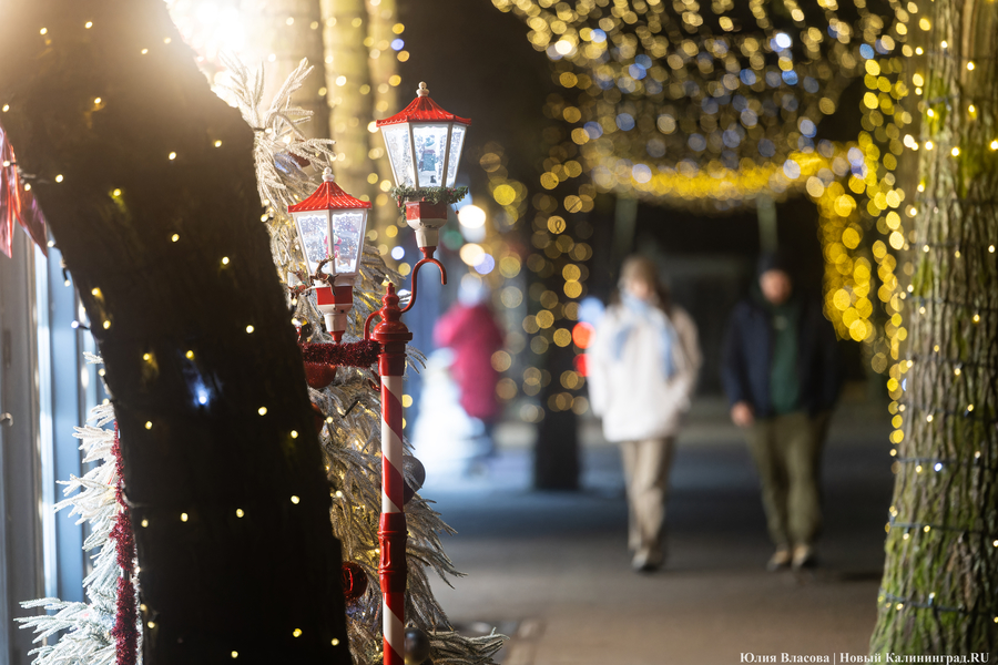 30 километров гирлянд: как украсили к Новому году Светлогорск (фото)