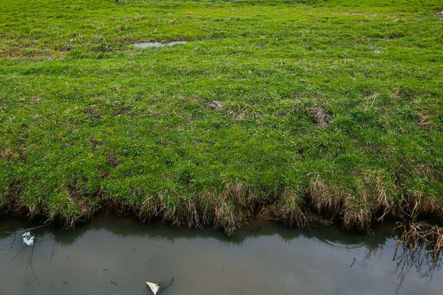 Фото из архива  «Нового Калининграда.Ru»