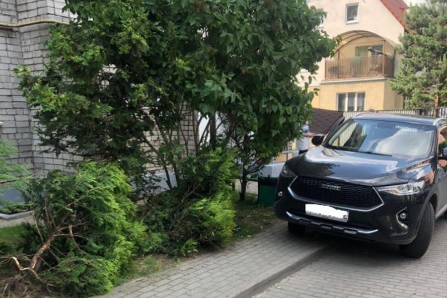 Калининградка случайно задела коробку передач с пассажирского сиденья и сбила пенсионера
