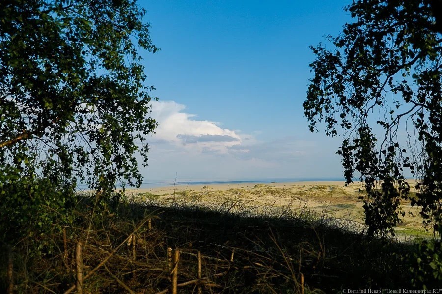 В Зеленоградском районе многодетной семье дали участок, к которому нет дороги