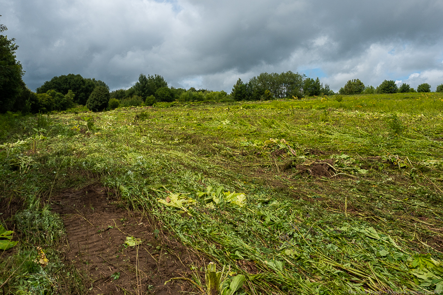 Суд обязал власти Зеленоградска построить дорогу к выданному многодетной семье участку
