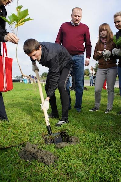 «Елки-палки»: фоторепортаж «Нового Калининграда.Ru»