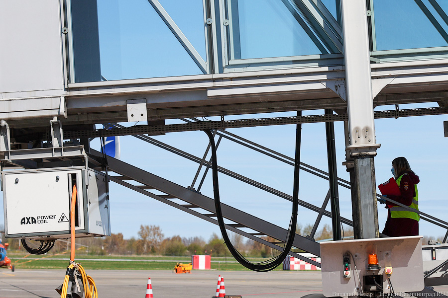 Нужен берег турецкий: из Калининграда вылетел первый чартер Turkish Airlines в Анталью (фото)