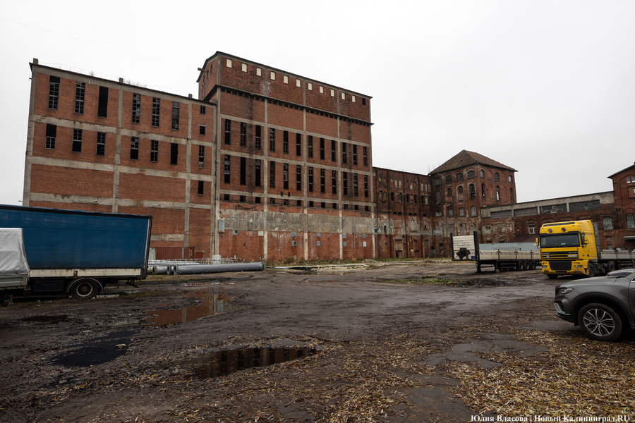 Постапокалиптический пейзаж: что происходит с территорией бывшего ЦБЗ-1 (фото)