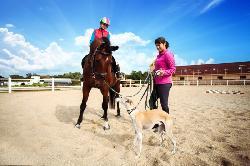 Гостевой комплекс «Поляна»: тур выходного дня за 2000 рублей с человека