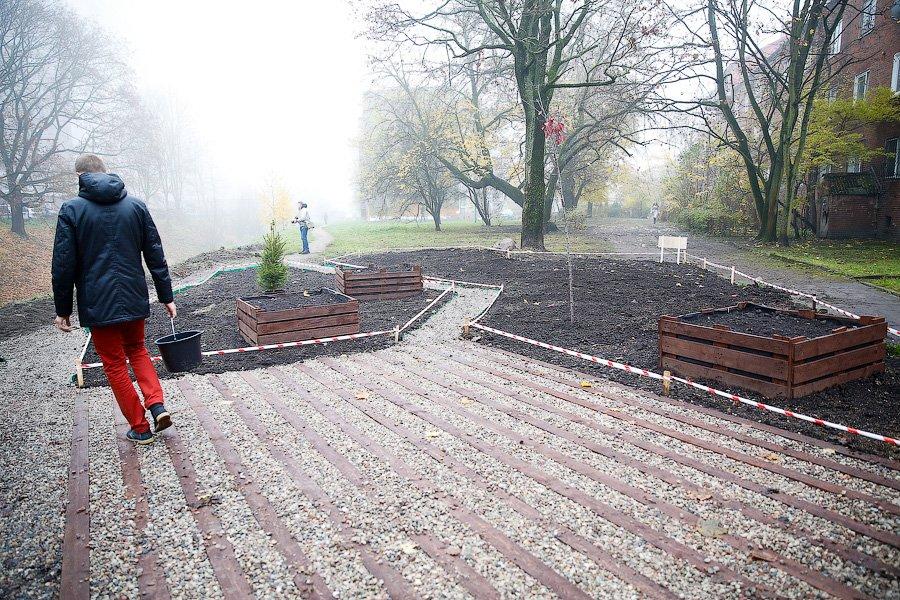 Посадить дерево и открыть трассу: как губернатор добрые дела делал