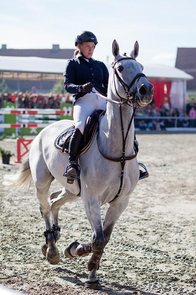 «Кубок президента РФ для немцев»: фоторепортаж с турнира по конкуру в Георгенбурге