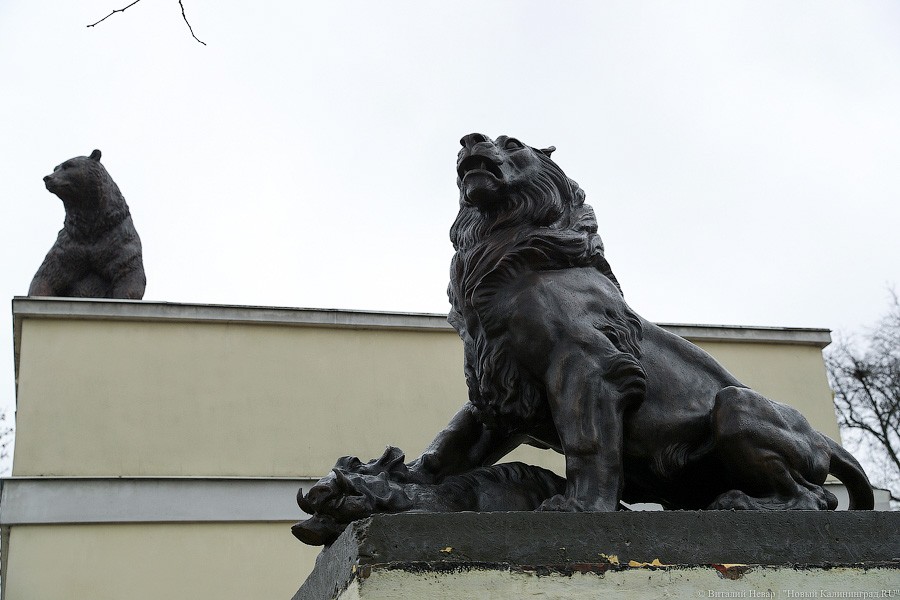 Звери из бронзы: на входе в Калининградский зоопарк установили новые скульптуры (фото)