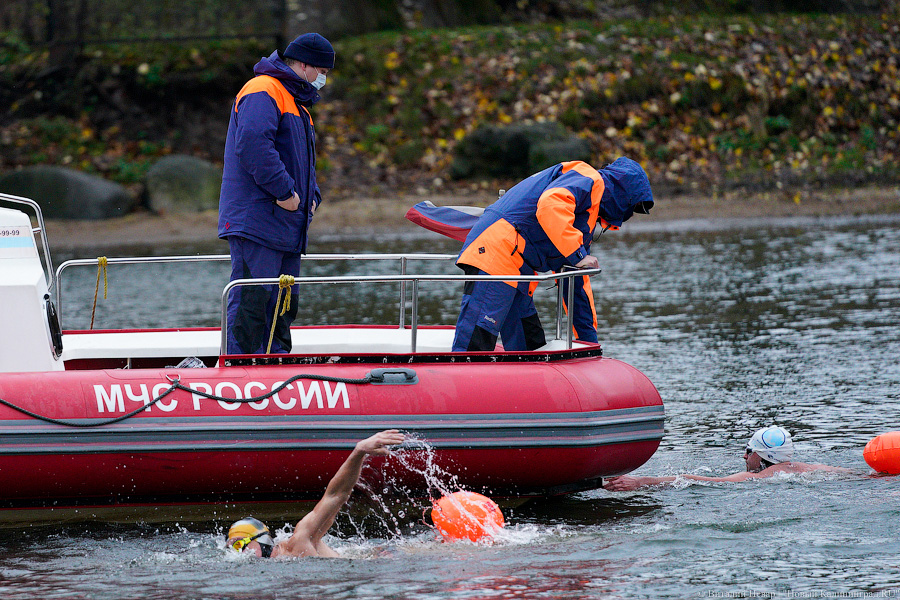 День моржа: как пловцы пытались защитить экосистему Преголи (фото)
