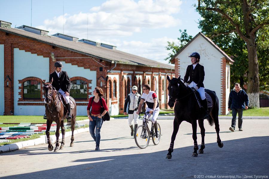 «Кубок президента РФ для немцев»: фоторепортаж с турнира по конкуру в Георгенбурге