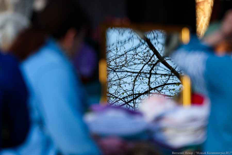 Шашлычок под медлячок: на острове Канта стартовала «Неделя еды и музыки» (фото)