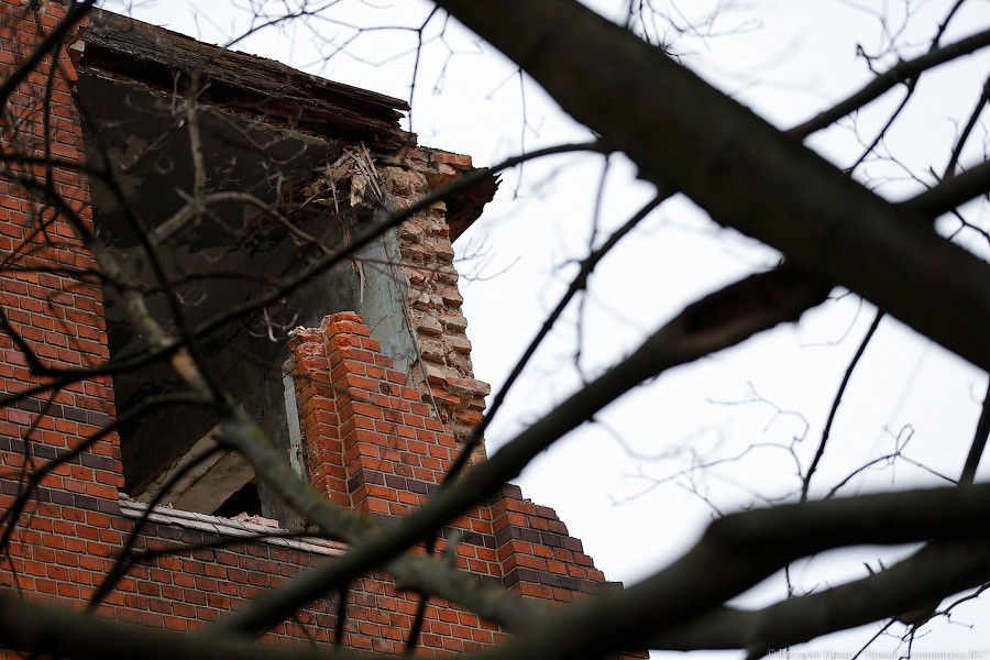 «Вы нам мешаете»: как бывший лицей имени Гёте снова пытались снести (фото)