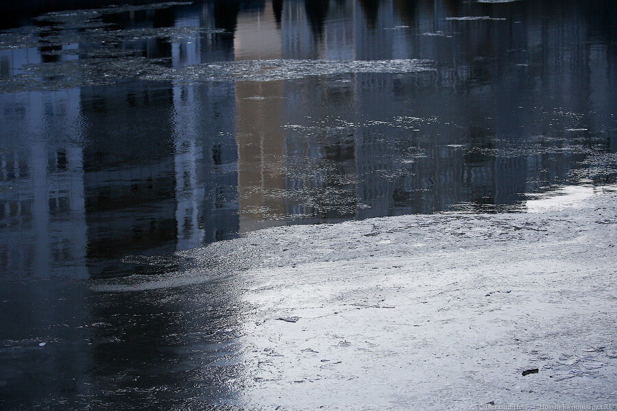 Погода в Калининграде 20 ноября