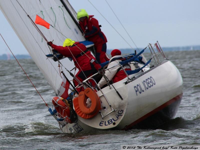 «Чемпионы залива»: репортаж с трансграничной регаты на кубок Калининградского залива