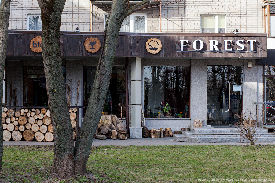 Живой уголок: ресторан «Forest» на улице Пролетарской