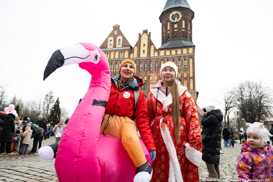 «Сказка к нам приходит»: на острове Канта прошел забег Дедов Морозов (фото)