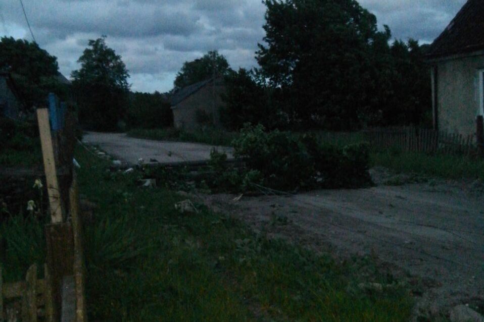 Очевидцы: в Краснолесье упавший на дорогу столб оставил посёлок без электричества (фото) (дополнено)