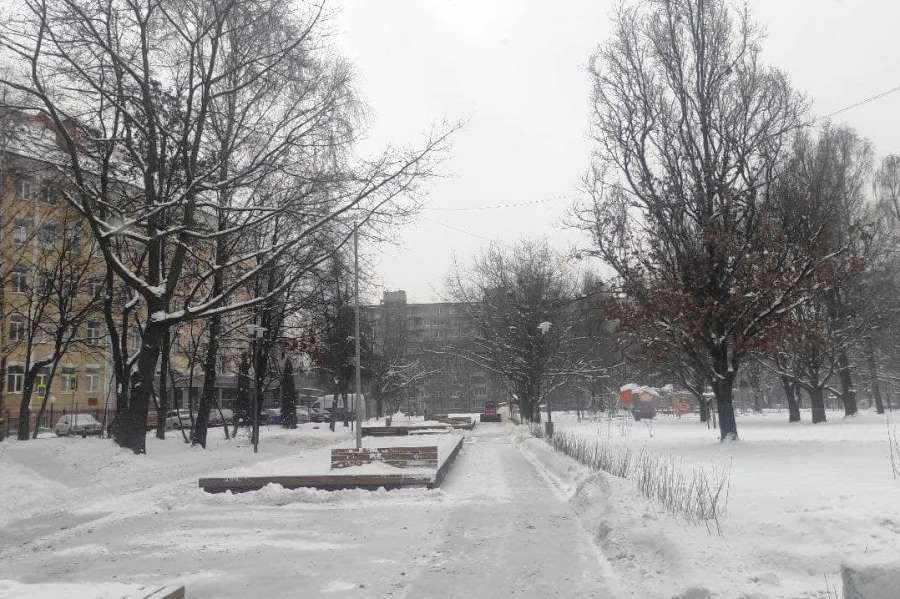 С пешеходной зоны на ул. Рокоссовского убрали забор (фото)