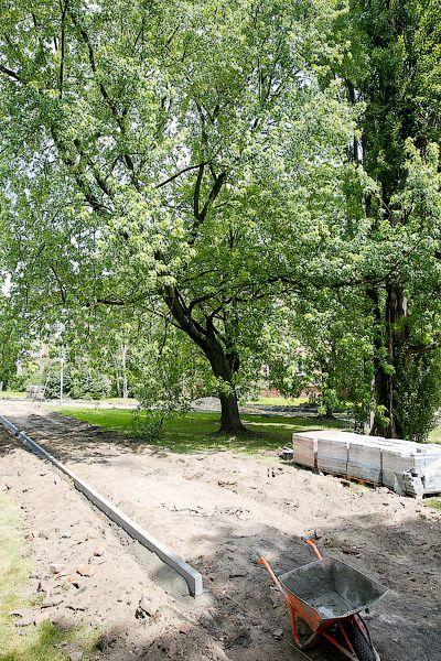 Калининградское чудо: застройщик гостиницы не вырубает, а благоустраивает 2 сквера (фото)