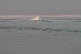 Спасатели сняли с отколовшейся льдины в Куршском заливе восемь рыбаков