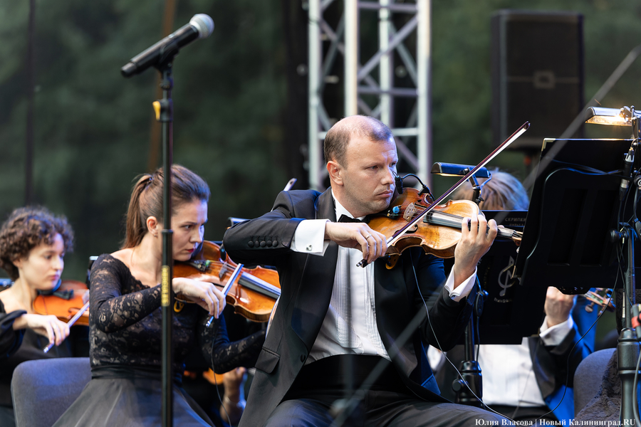 «Территория мира — Территория музыки»: как проходит open-air классической музыки