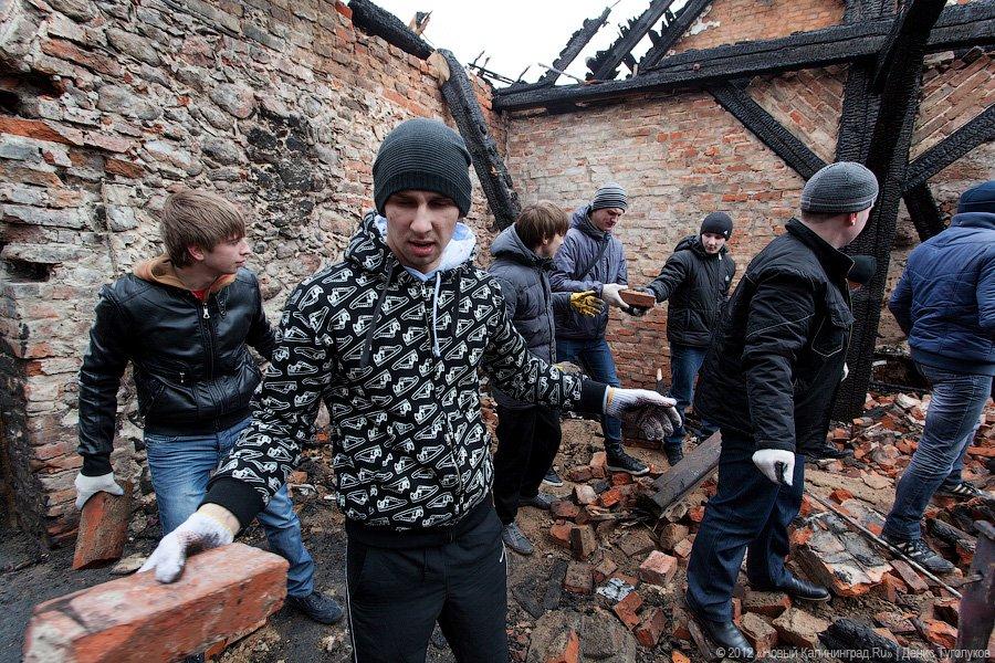 «Шаакен, волонтеры и кот Воровай»: фоторепортаж «Нового Калининграда.Ru»