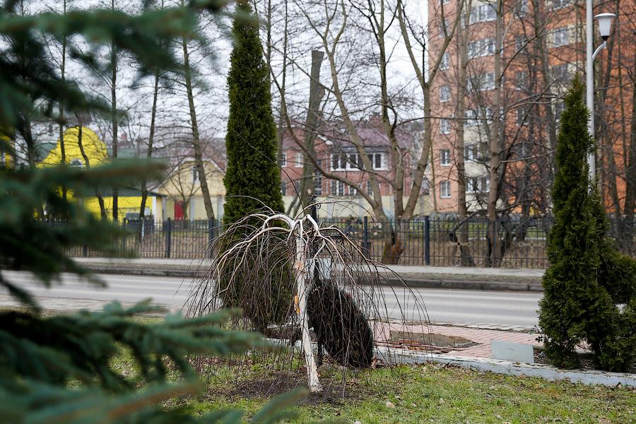 «Вандализм или ремонт?»: горожане беспокоятся за мемориалы ВОВ в Калининграде