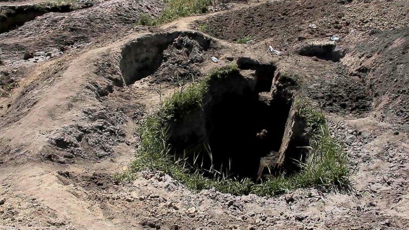 Под Зеленоградском полиция задержала 29 «черных копателей» янтаря (фото)