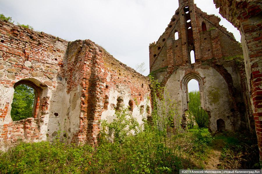 «А денег нет»: в переданной РПЦ кирхе 14-го века в Храброво валяются человеческие кости