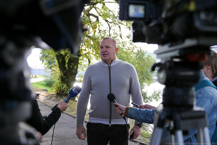 Чтобы жертв не было: власти Калининграда жалеют, что обрезали не все деревья