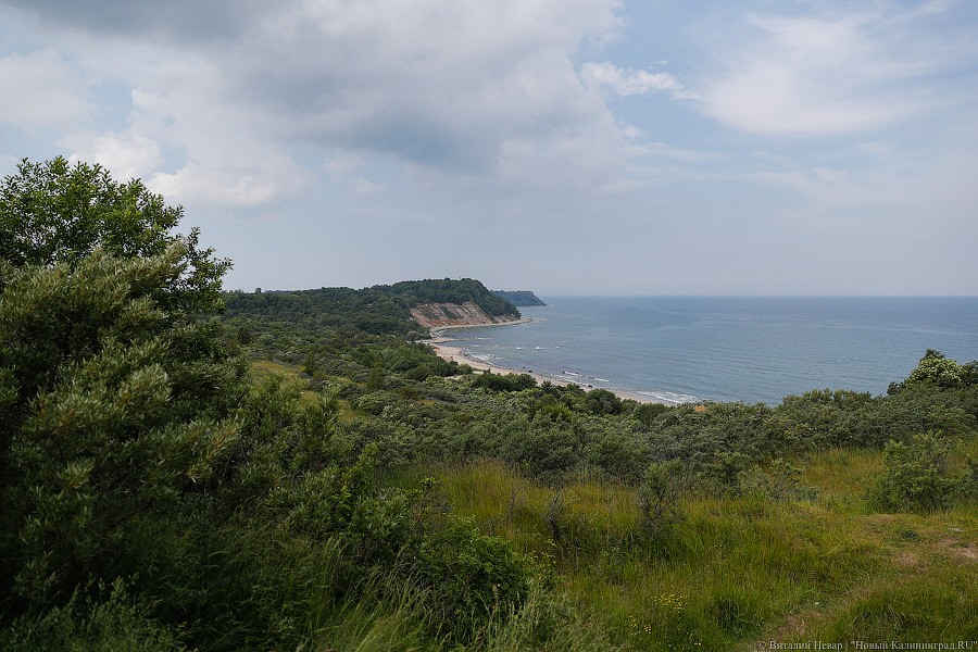 Власти в третий раз перенесли конкурс на строительство детского центра в Филинской бухте