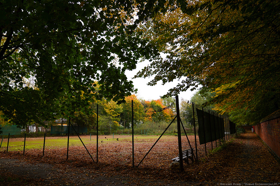 Увидеть в последний раз: осень на стадионе «Спартак», который хотят застроить (фото)