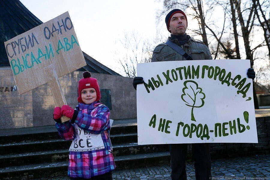 В Калининграде создано четыре особо охраняемых природных территории