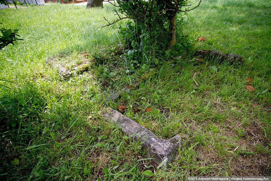 Навоз и куры: кирха 14-го века в поселке Каштаново стала пастбищем для скота