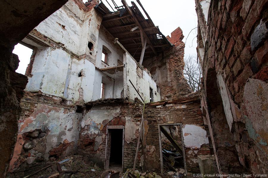 «Шаакен, волонтеры и кот Воровай»: фоторепортаж «Нового Калининграда.Ru»