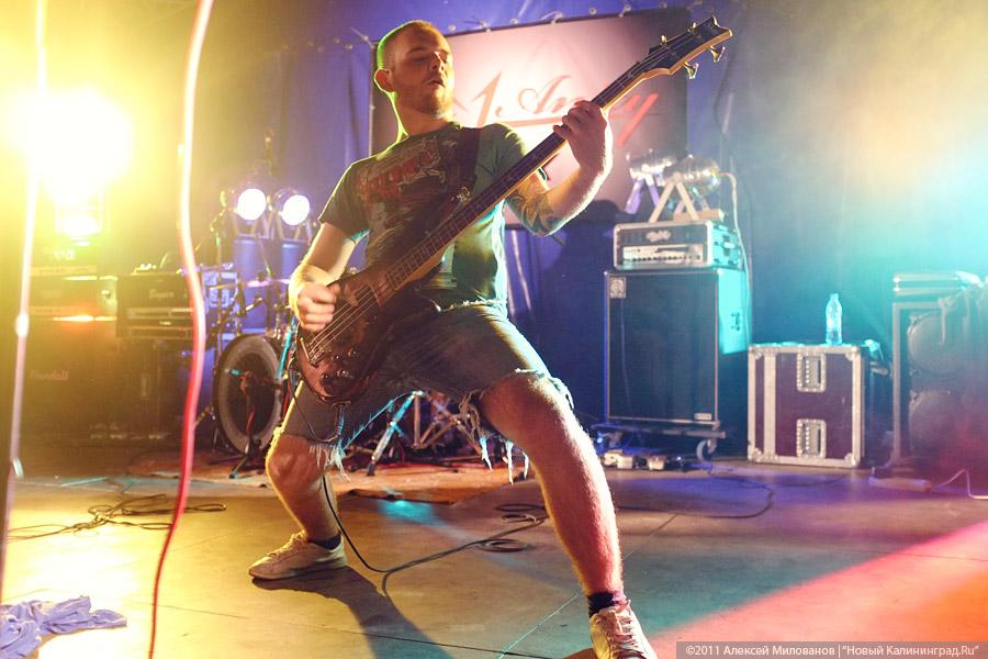 "Насекомая страна": фоторепортаж "Афиши Нового Калининграда.Ru"