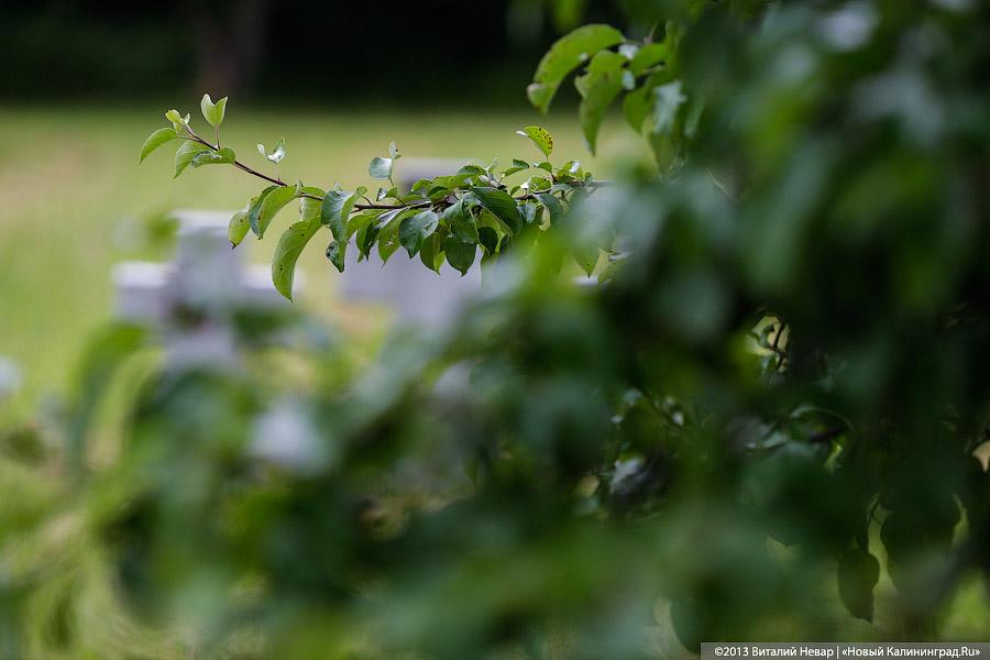 По следам Первой мировой: спасённое захоронение русских воинов в Деедене